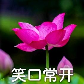 平安一生1