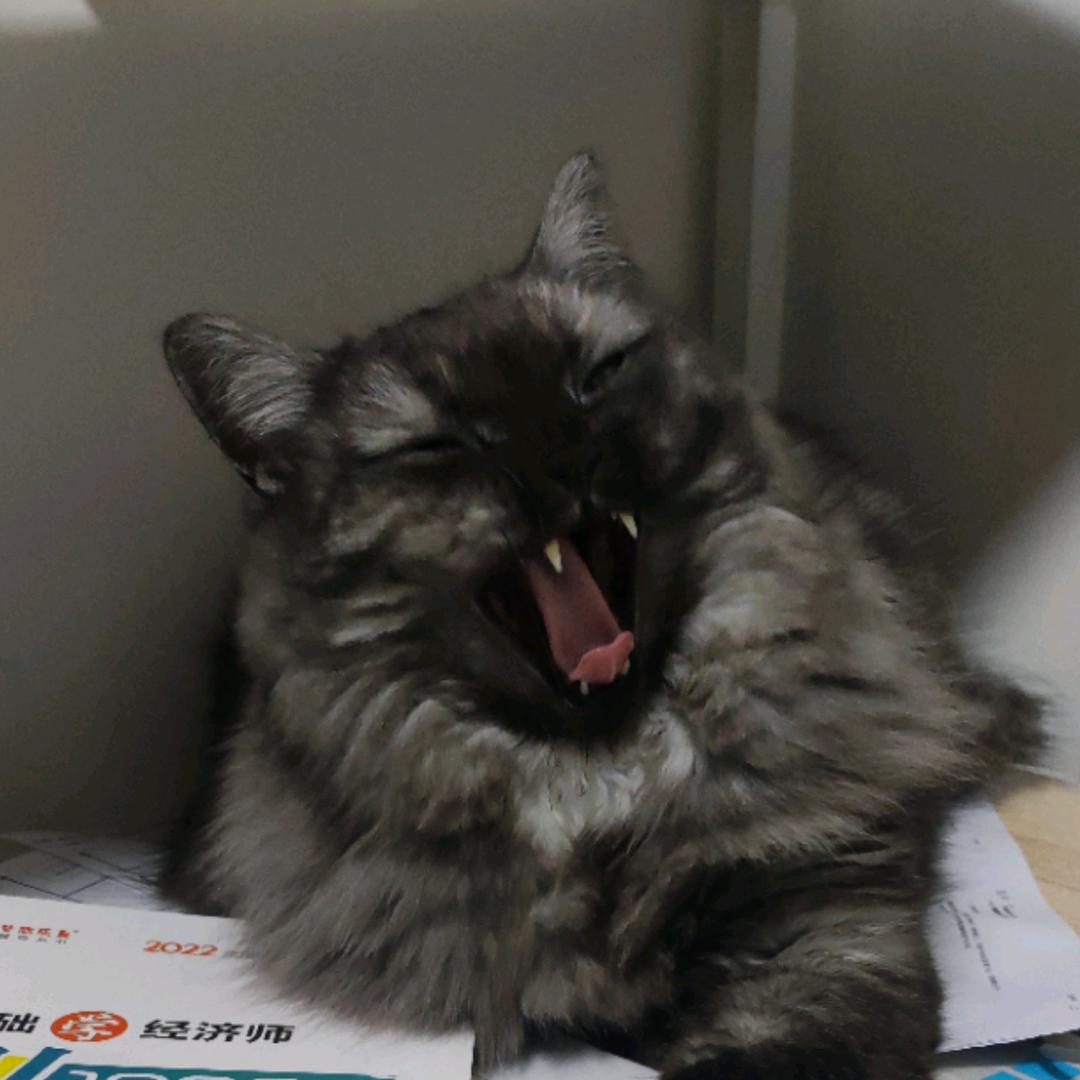 一首唱不完的歌