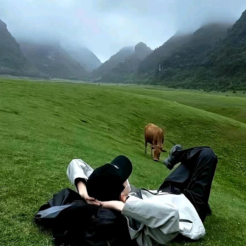 欭惗