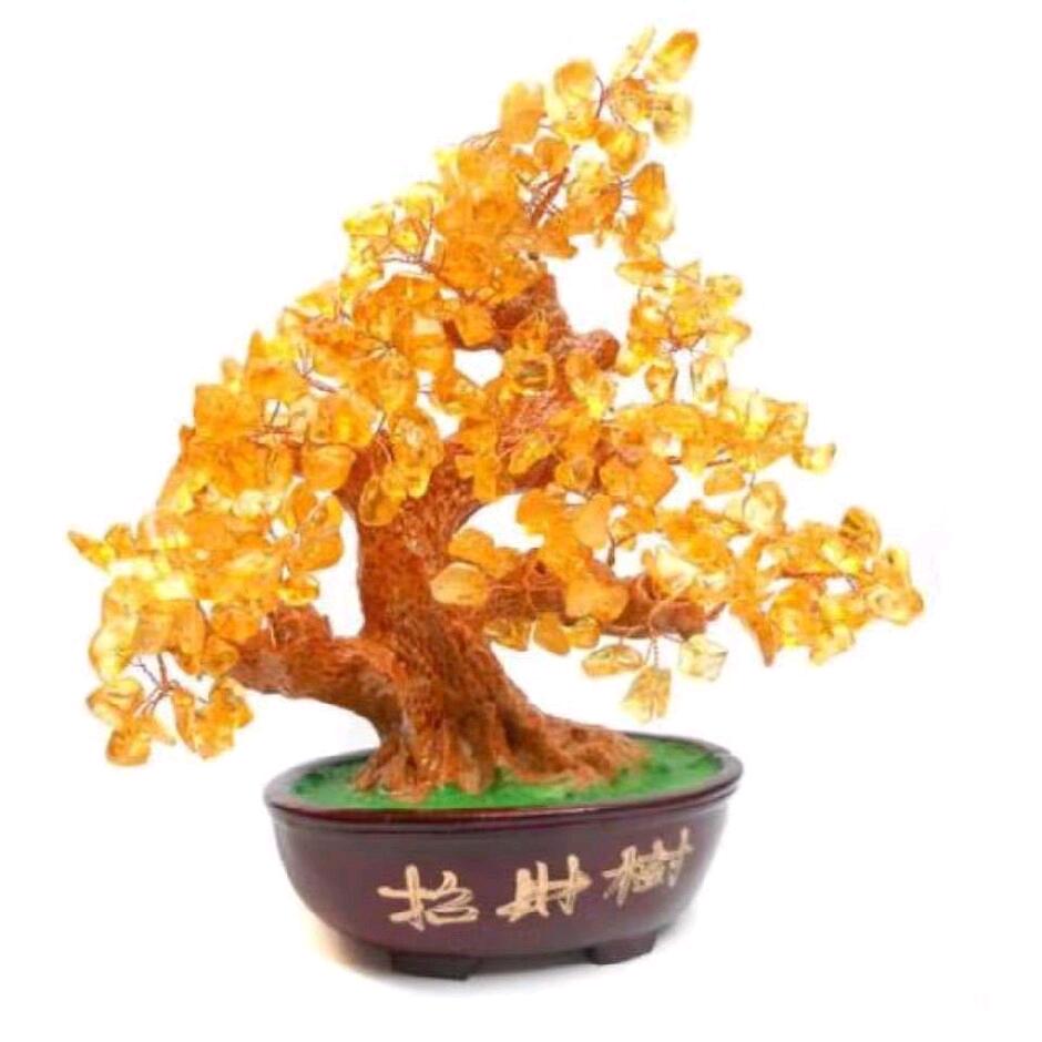淼煮牟科技