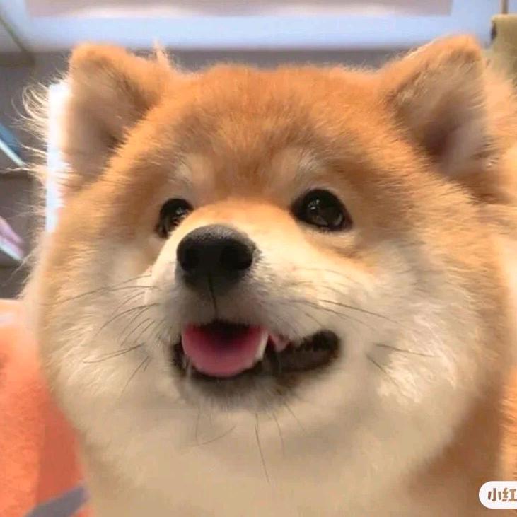牟嘎