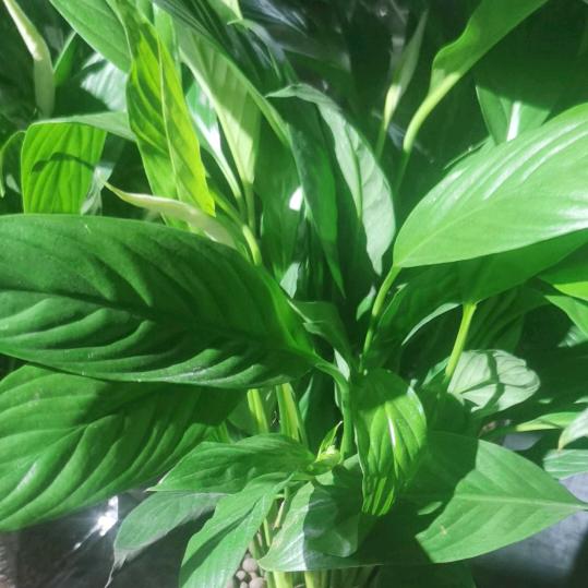 看山是山，看水是水