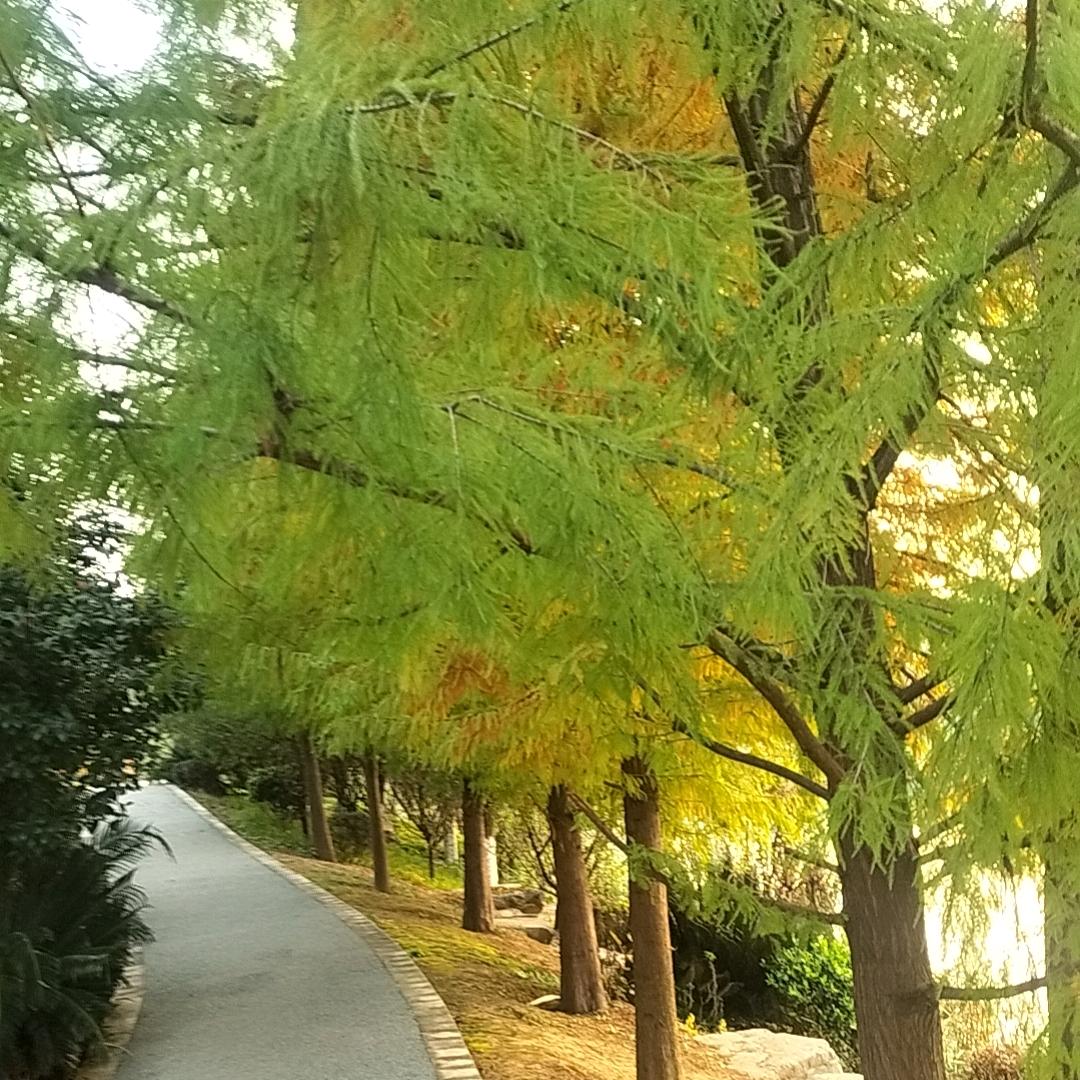 《很好！非常好!》