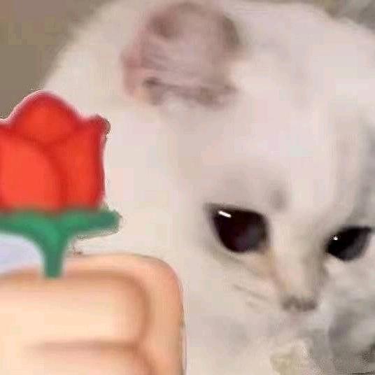 起风了.