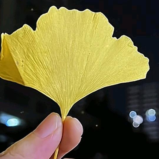 用户4304461081754