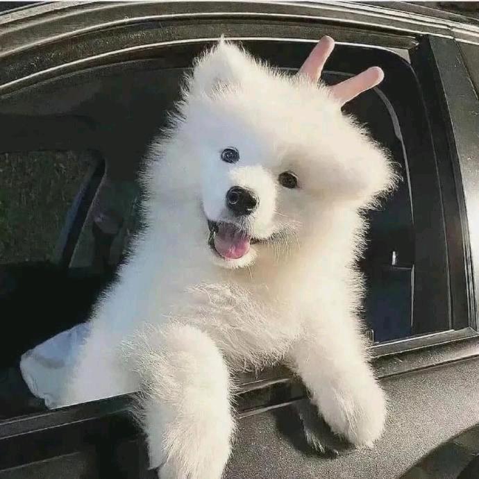 陪了我钱就转转