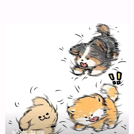 兰兰学姐求职说