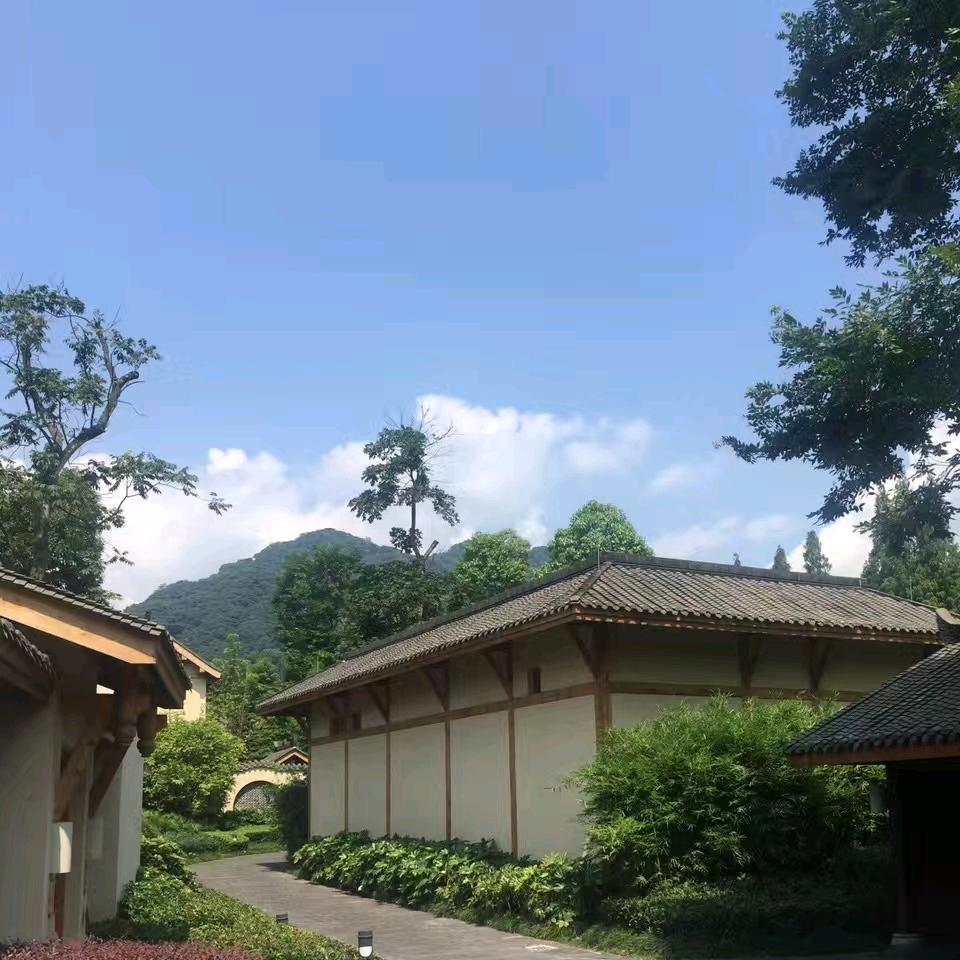安何