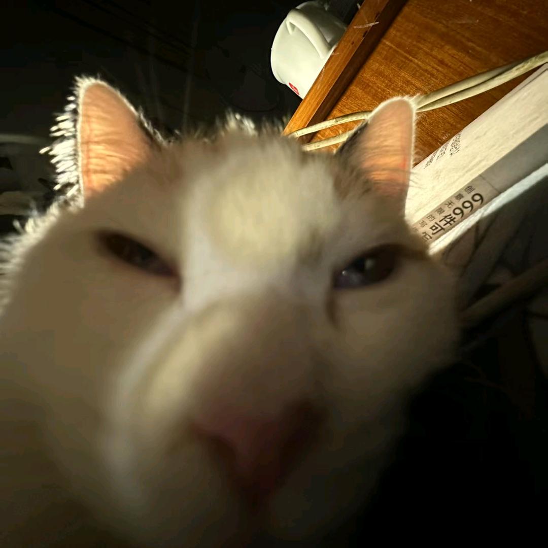 ycajyh