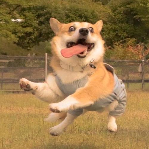 微笑着面对生活哟！