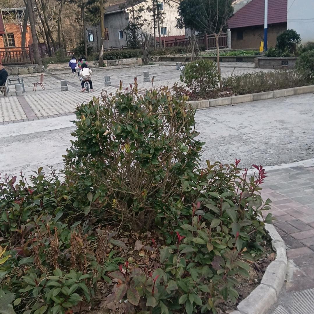 官方🈲🈲张妹🈲🈲