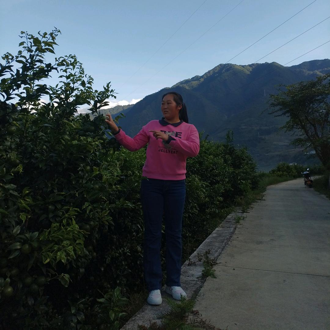 🍃沉🌱香🌱玫🍃瑰🍃🍃