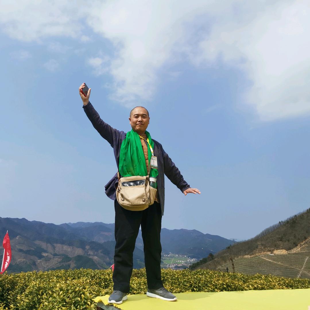 茶道养生远志