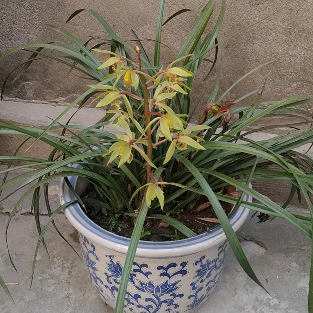 知足常乐