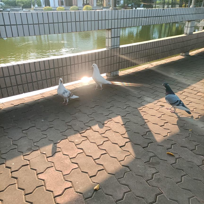 平凡人