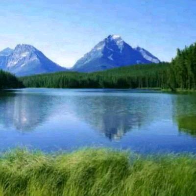 缺人（梦想12346631）