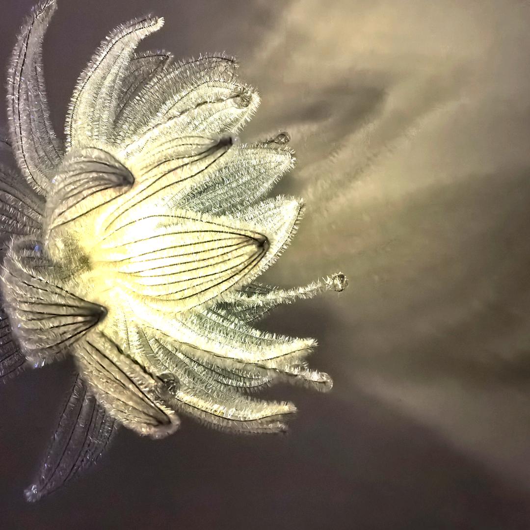 不知道改什么名字好，先这样吧