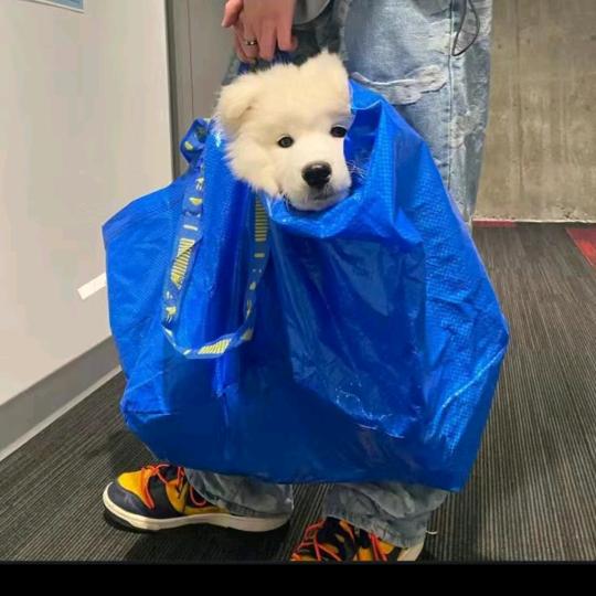 忽晚、