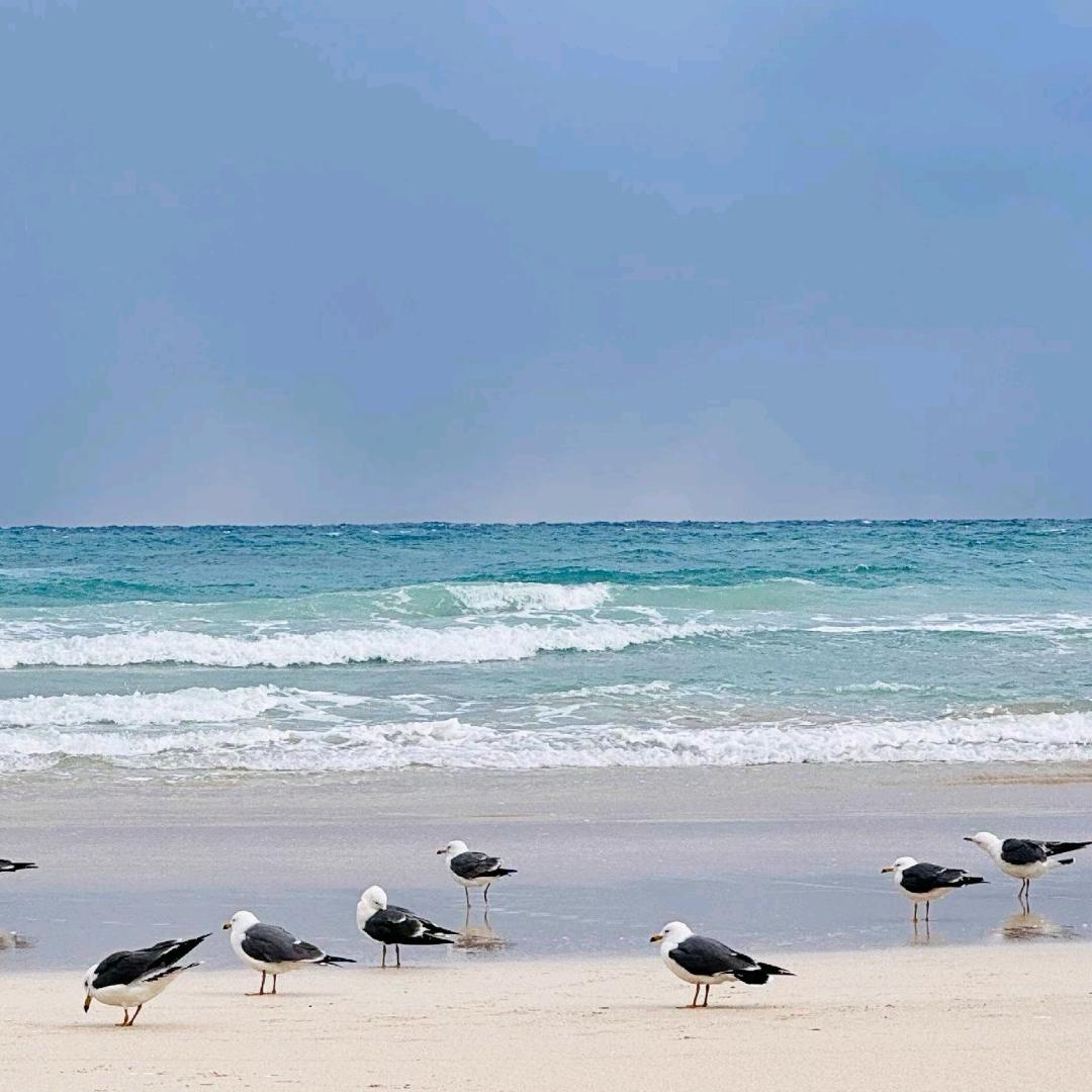 糯米粥铺（蓝天小区店）