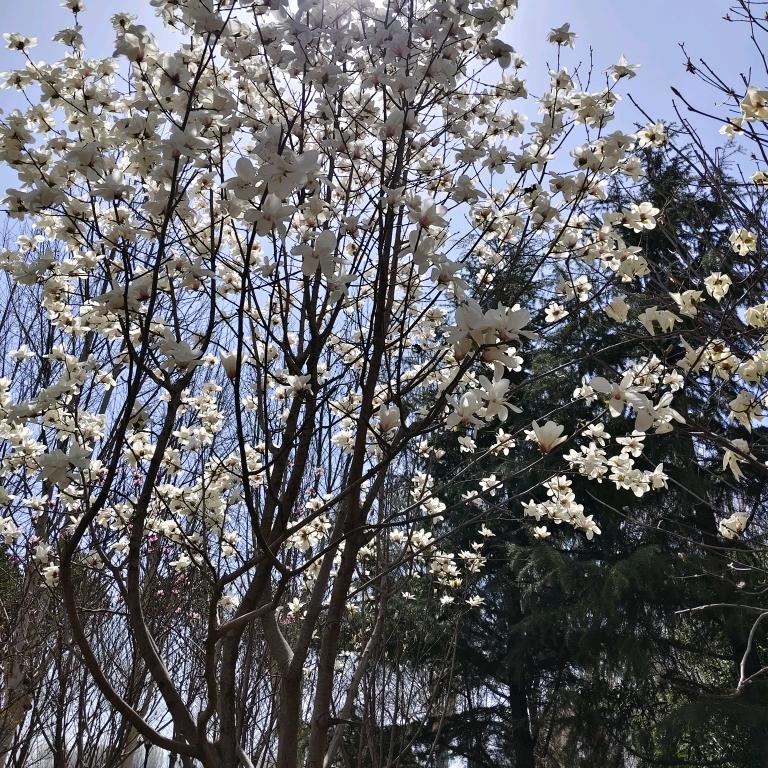一定是我