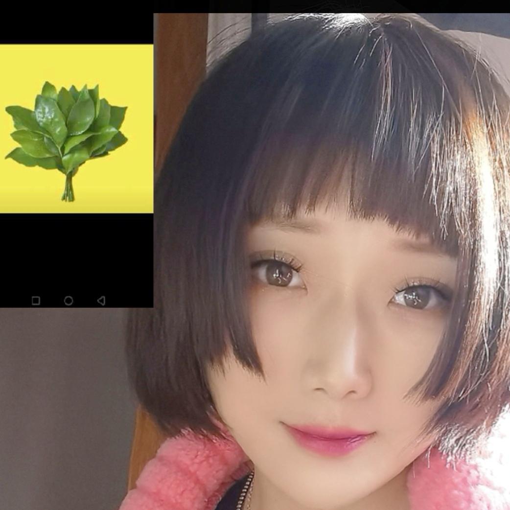鸿