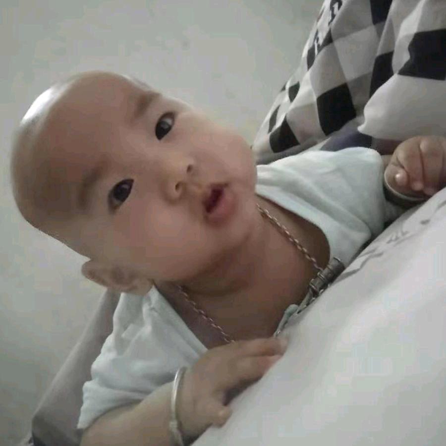 用户8151316726487宏