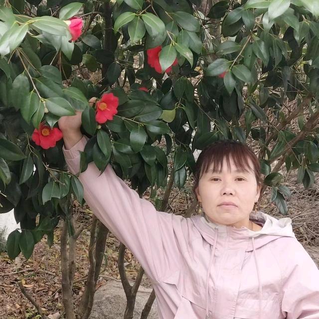 张大姐