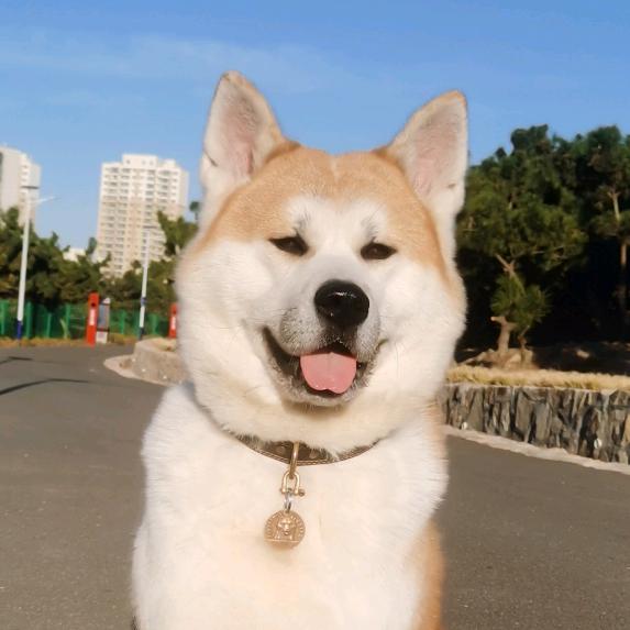 Ann道微贤安