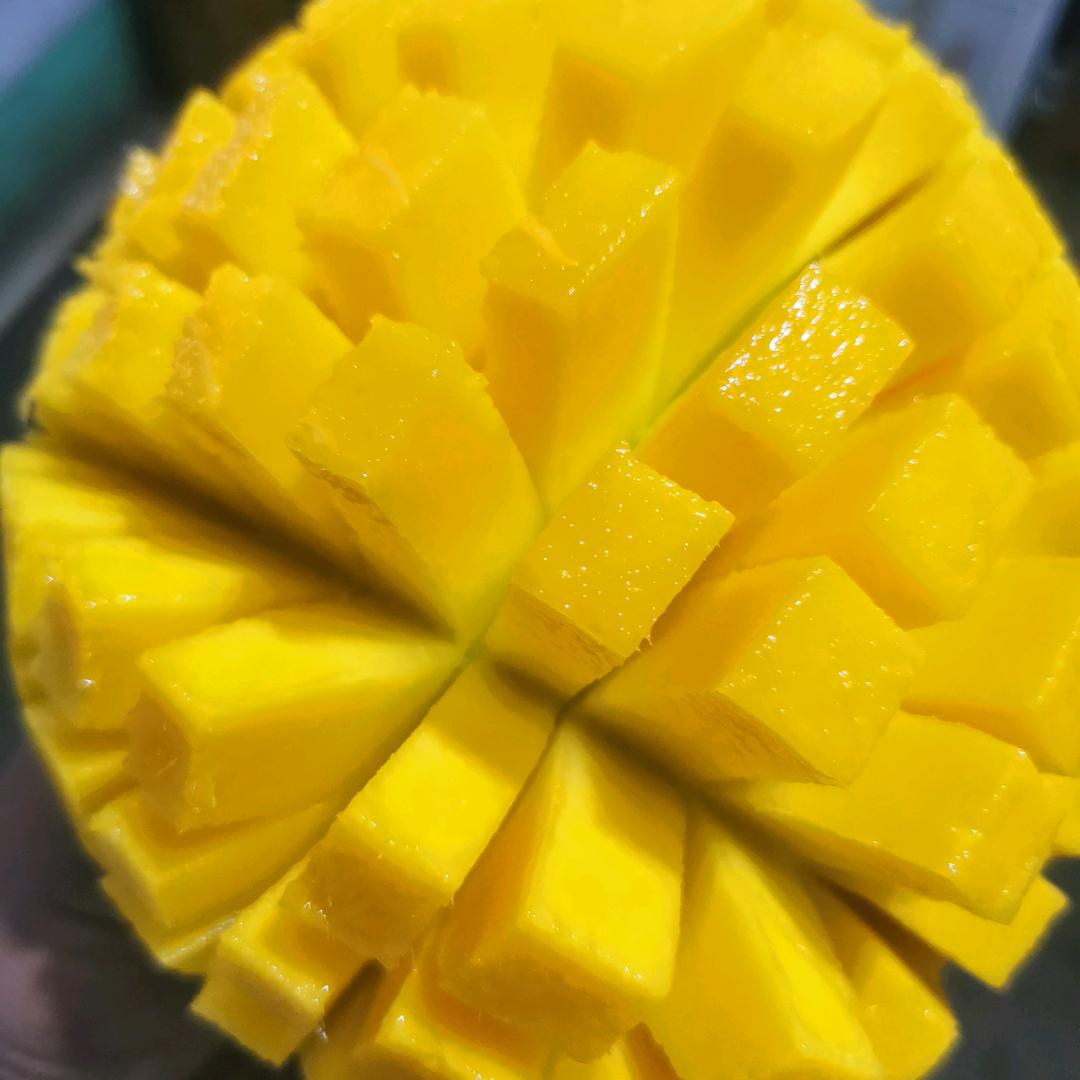 四个儿子的爹