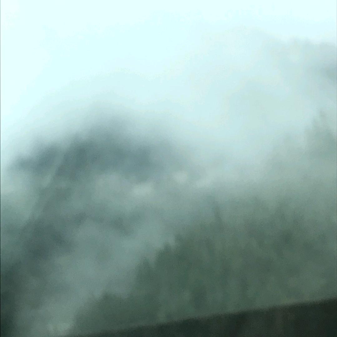 OK。等风等雨就等你