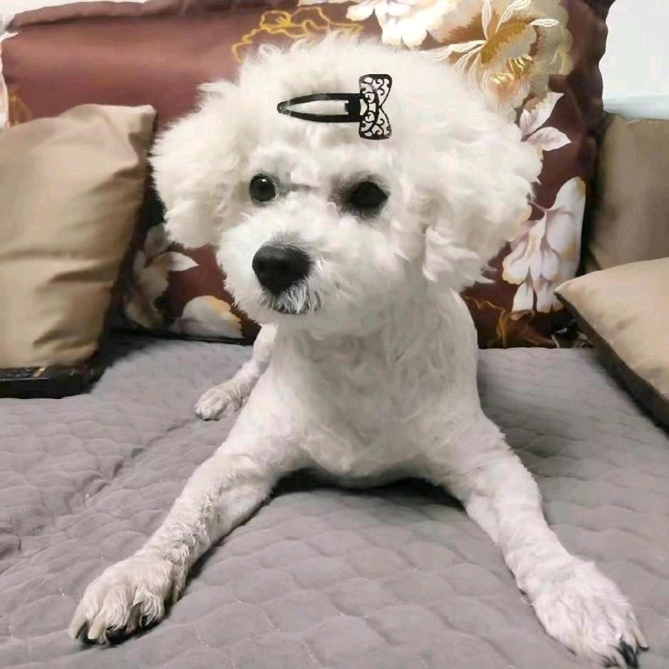蛋蛋是毛毛