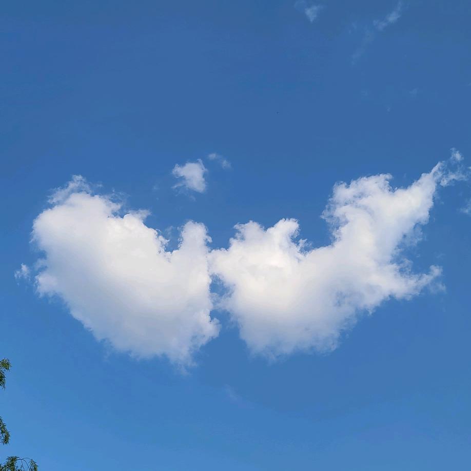 不一样的烟火～～