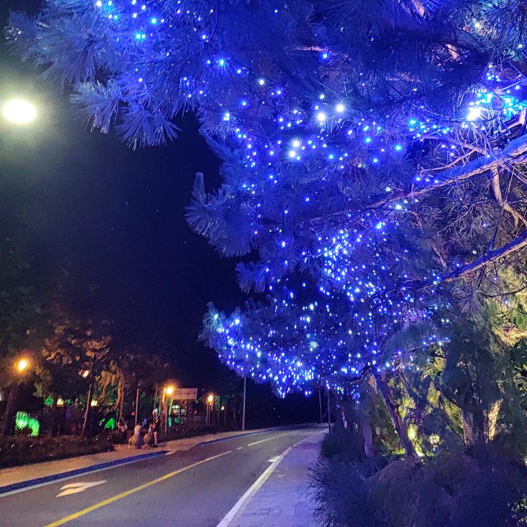 💞听এۣۖิ说糖很꧔ꦿ甜 ᭄
