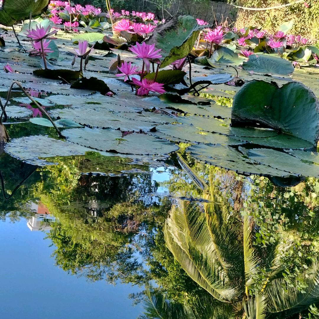 深夜里、捂着心脏说胃痛