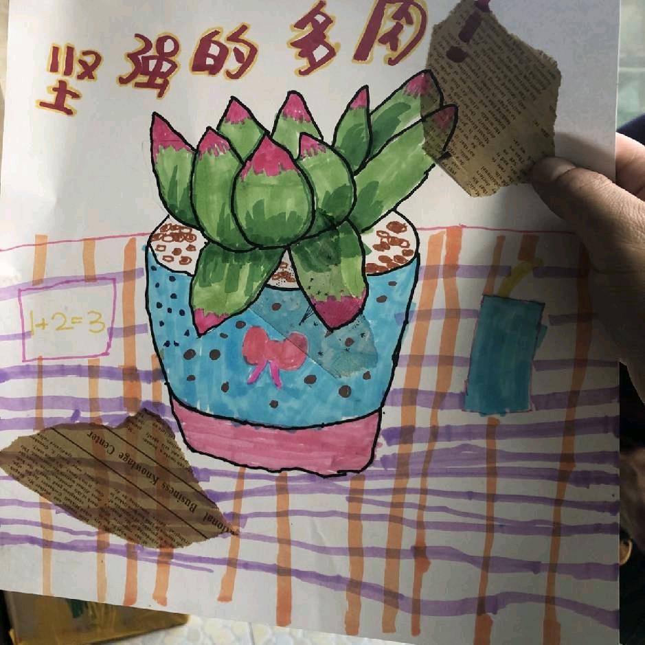 坚强的多肉