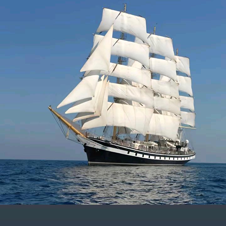 顺风起航