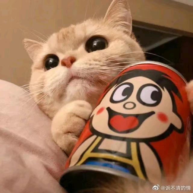 漂泊不定