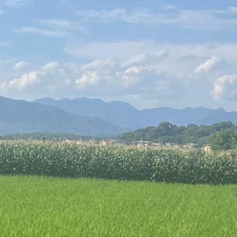 山涧鲜果蔬