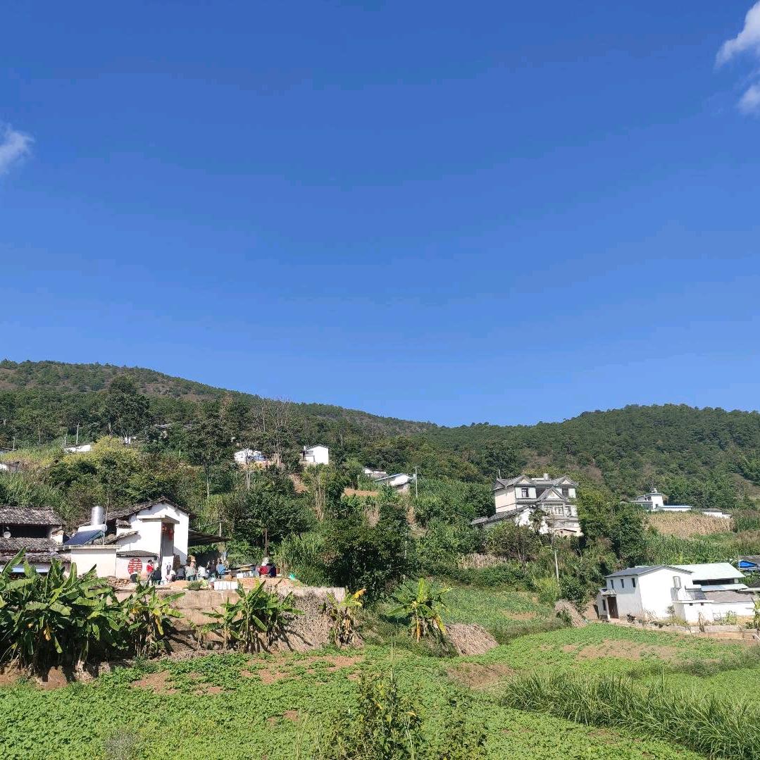 修行