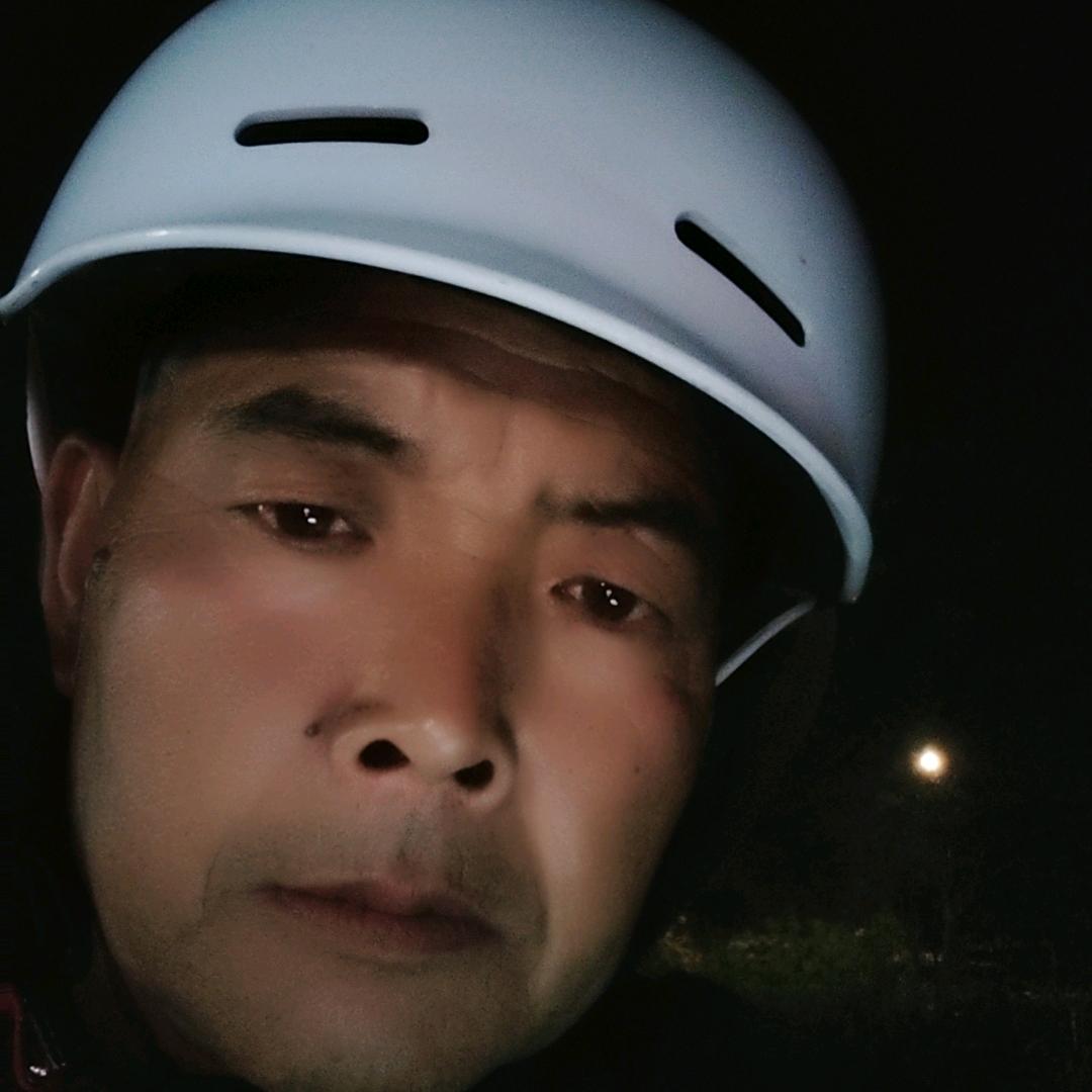 落单的孤雁，四哥
