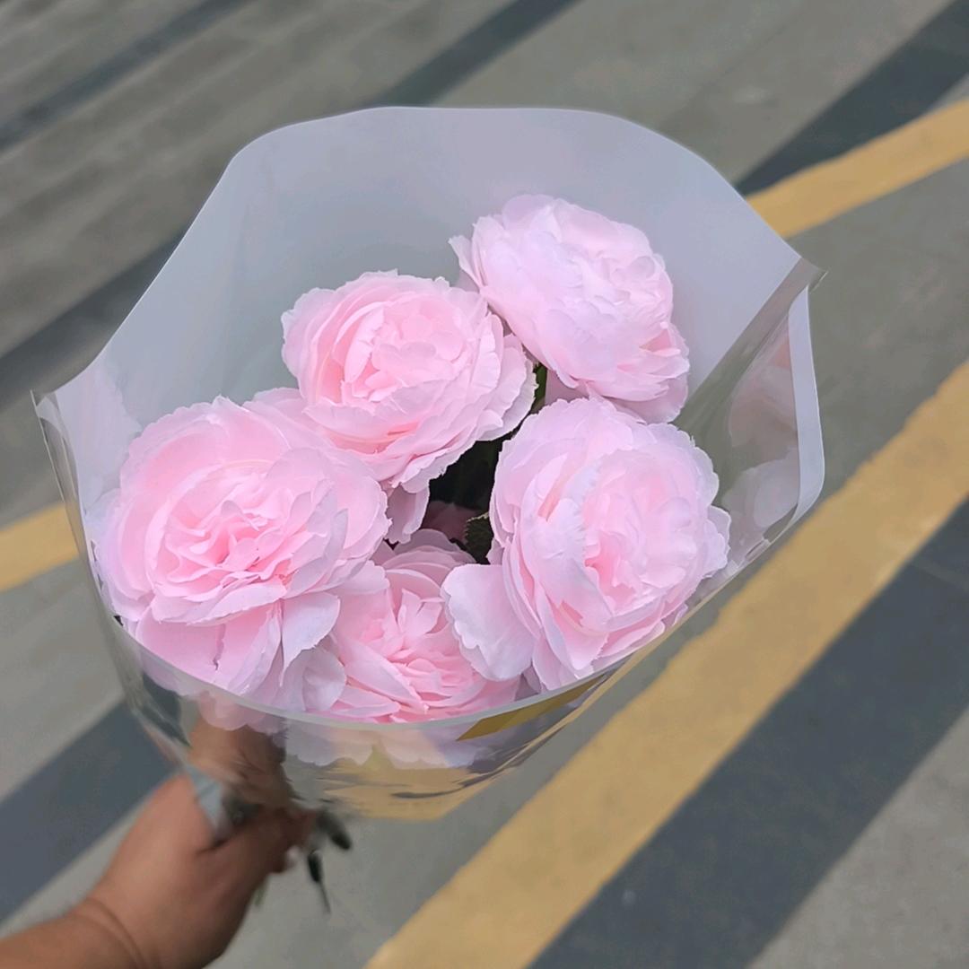花园养护优选
