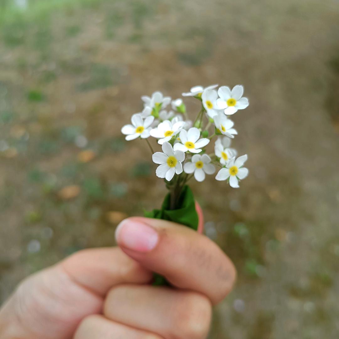 送你一束小花花