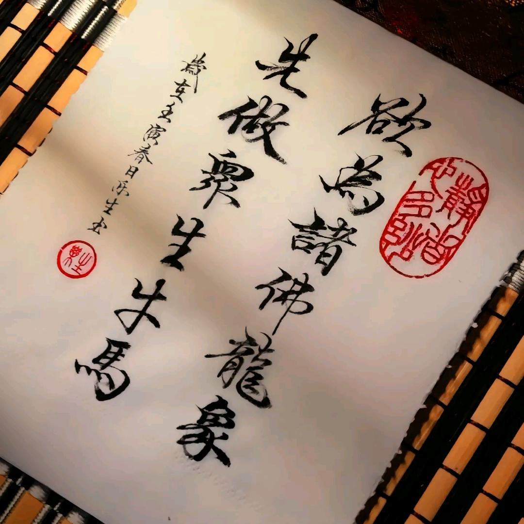 -小杨