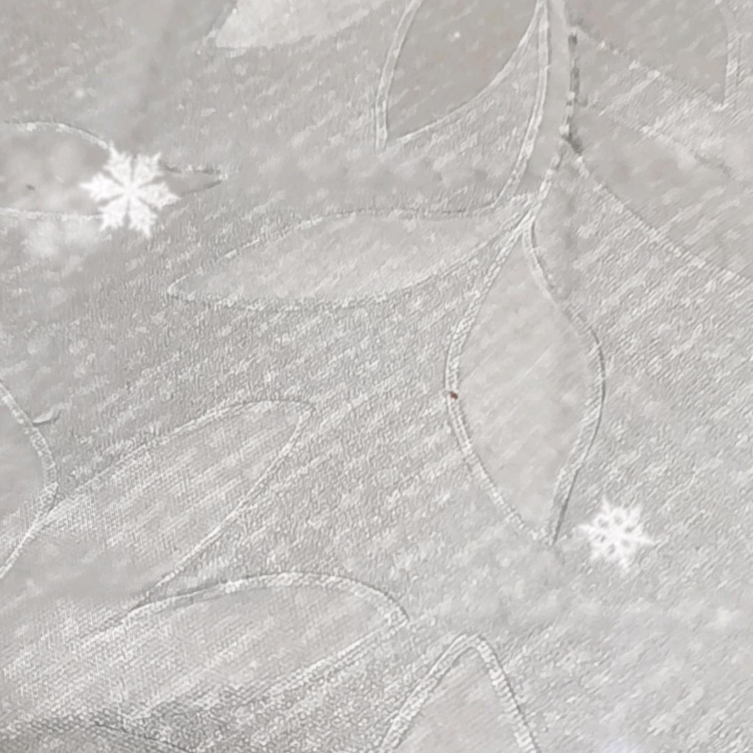 花老六咬死过狗⁵²⁸⁸🌸