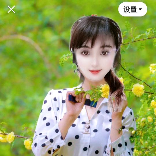 🌹影影🌹