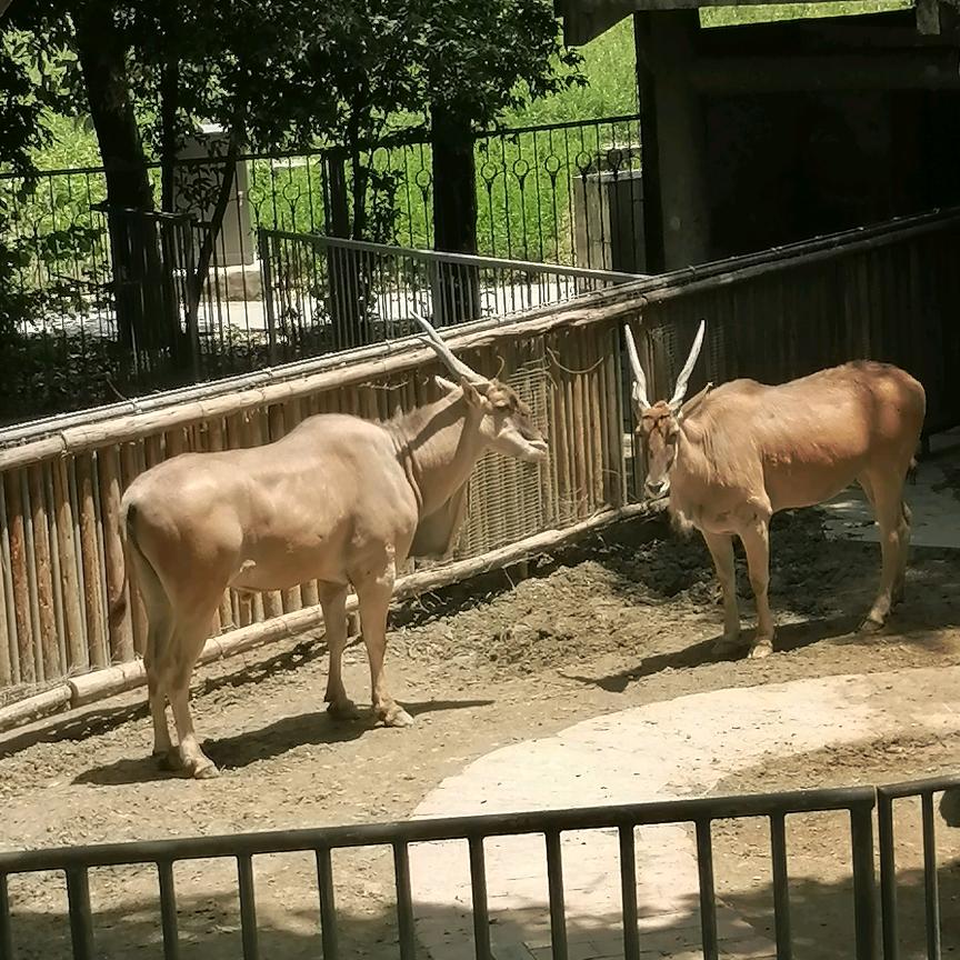 开心姐
