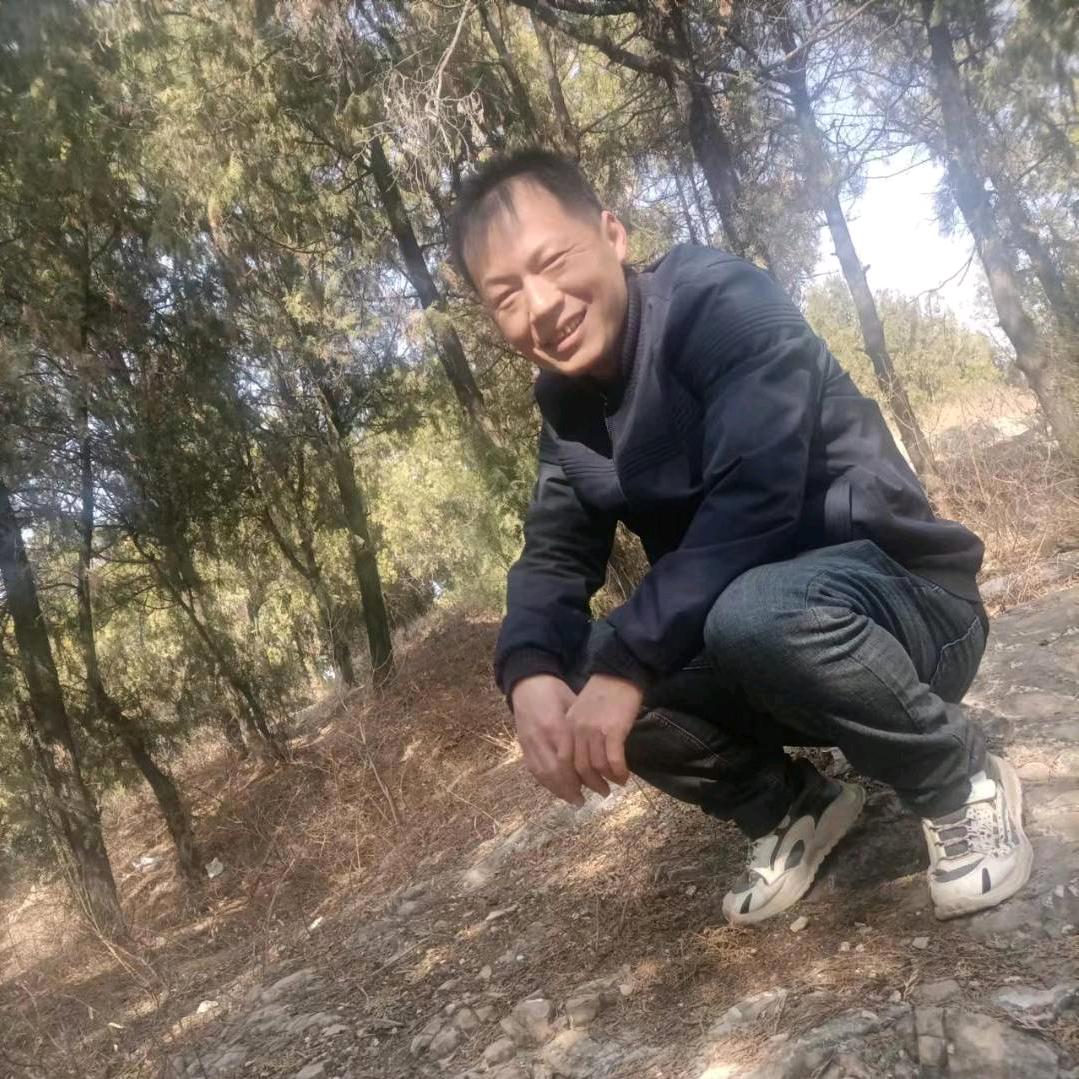 黑暗霸主
