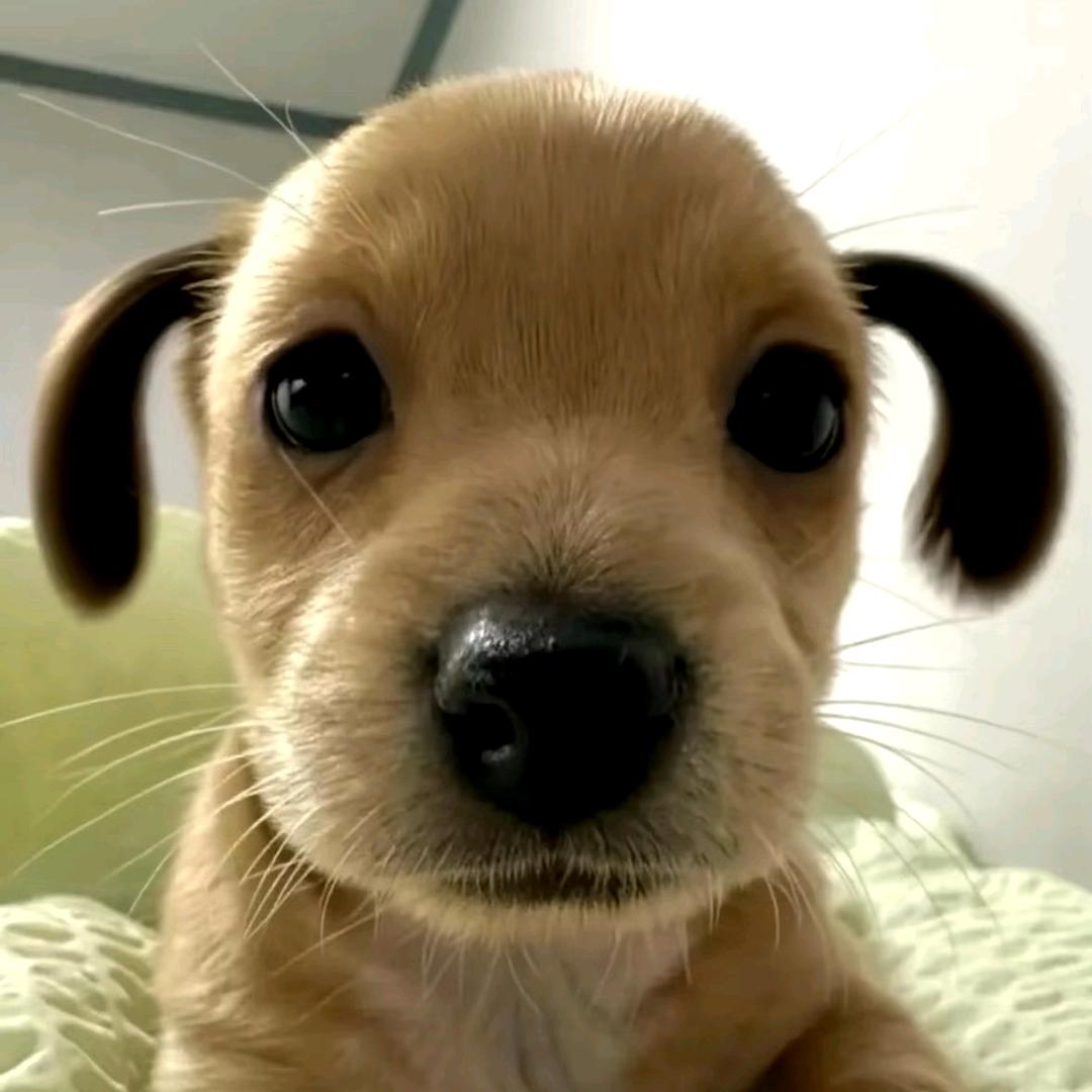 小徐不是同学🍀