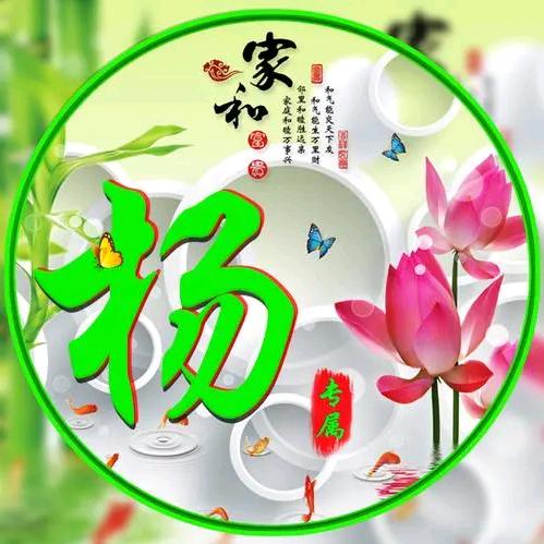 杨杨得亿