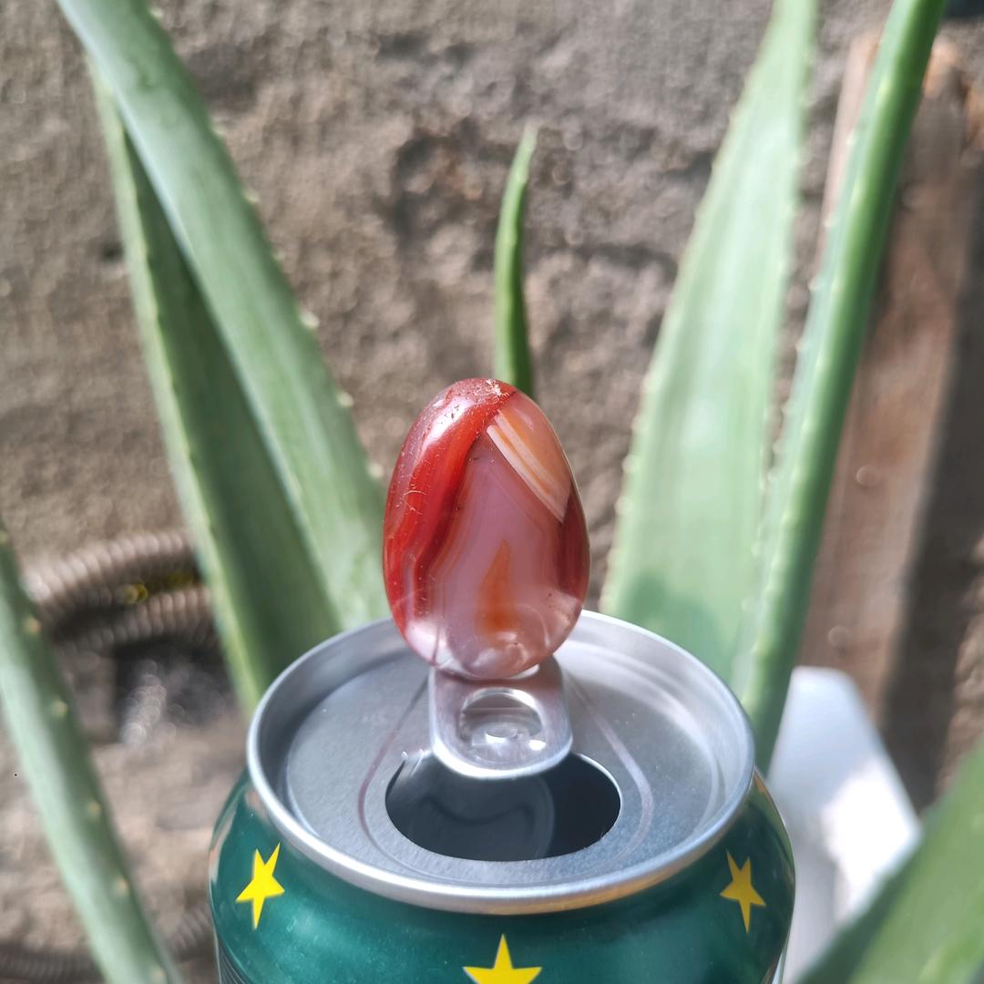 折翼的淡光